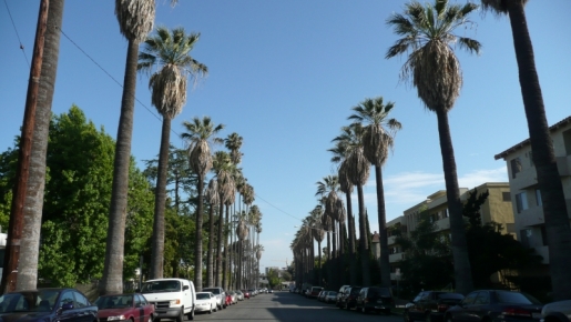 La5