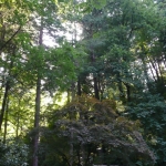 Portland4