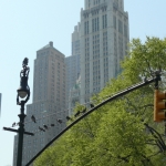 Newyork12