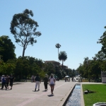 Sandiego13