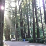 Sanfran5