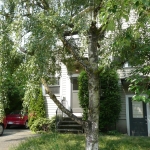 Seattle7