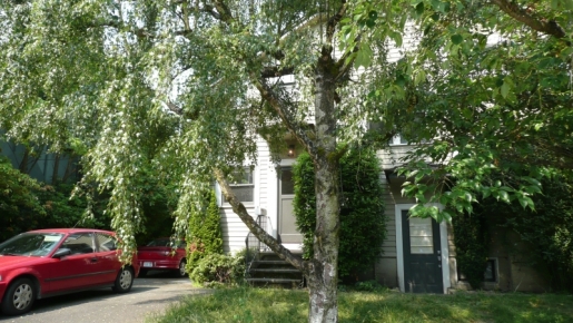 Seattle7
