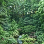 Portland7