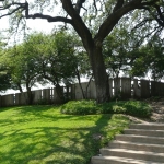 Dallas12