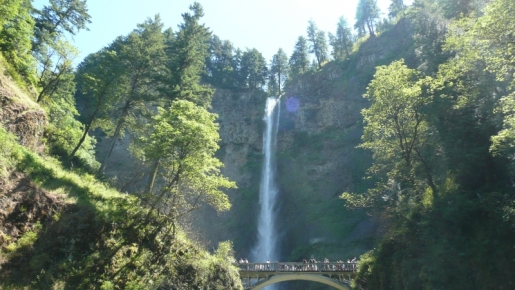 Portland13