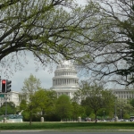Washington12